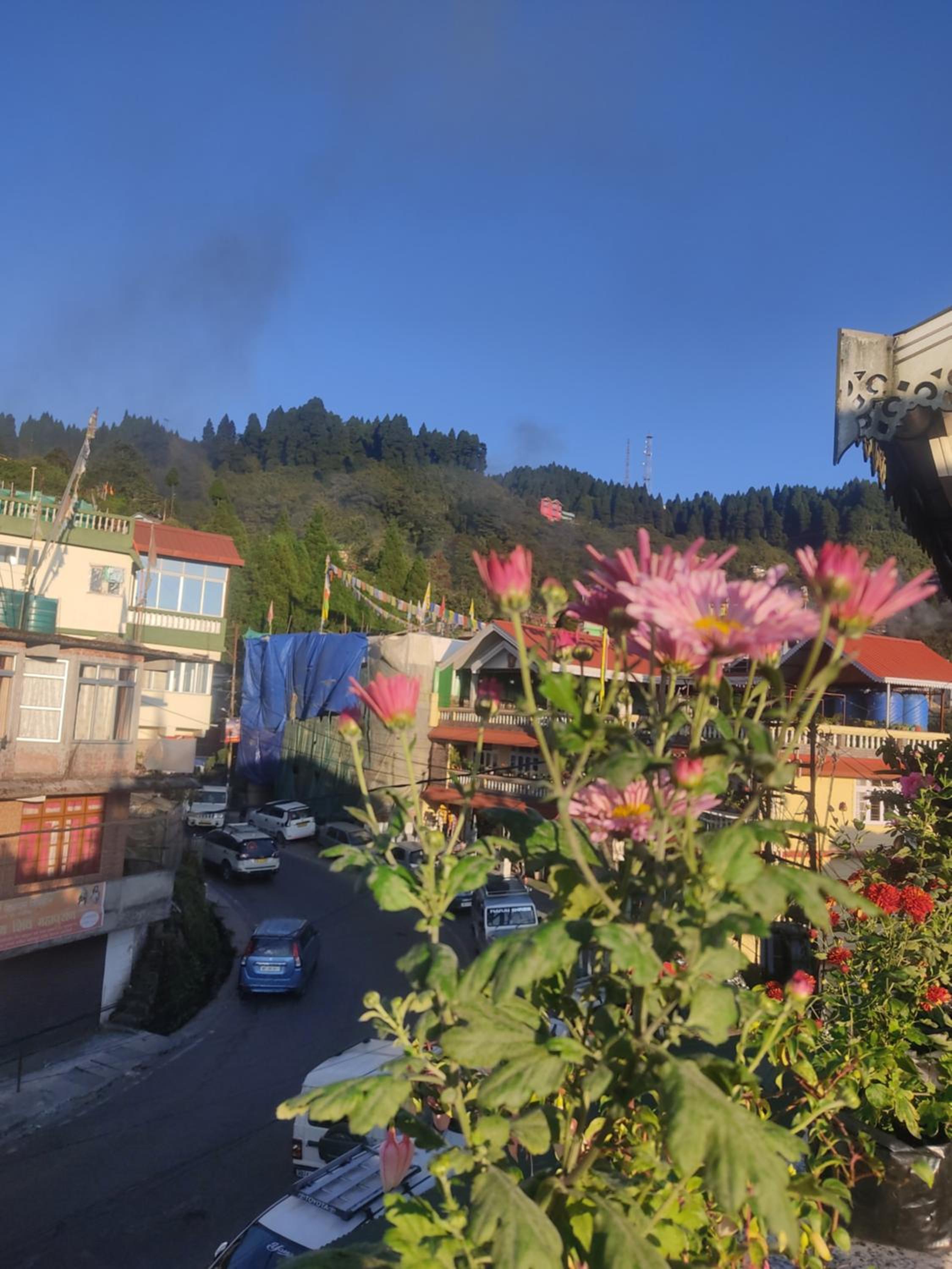 Tashiling Homestay