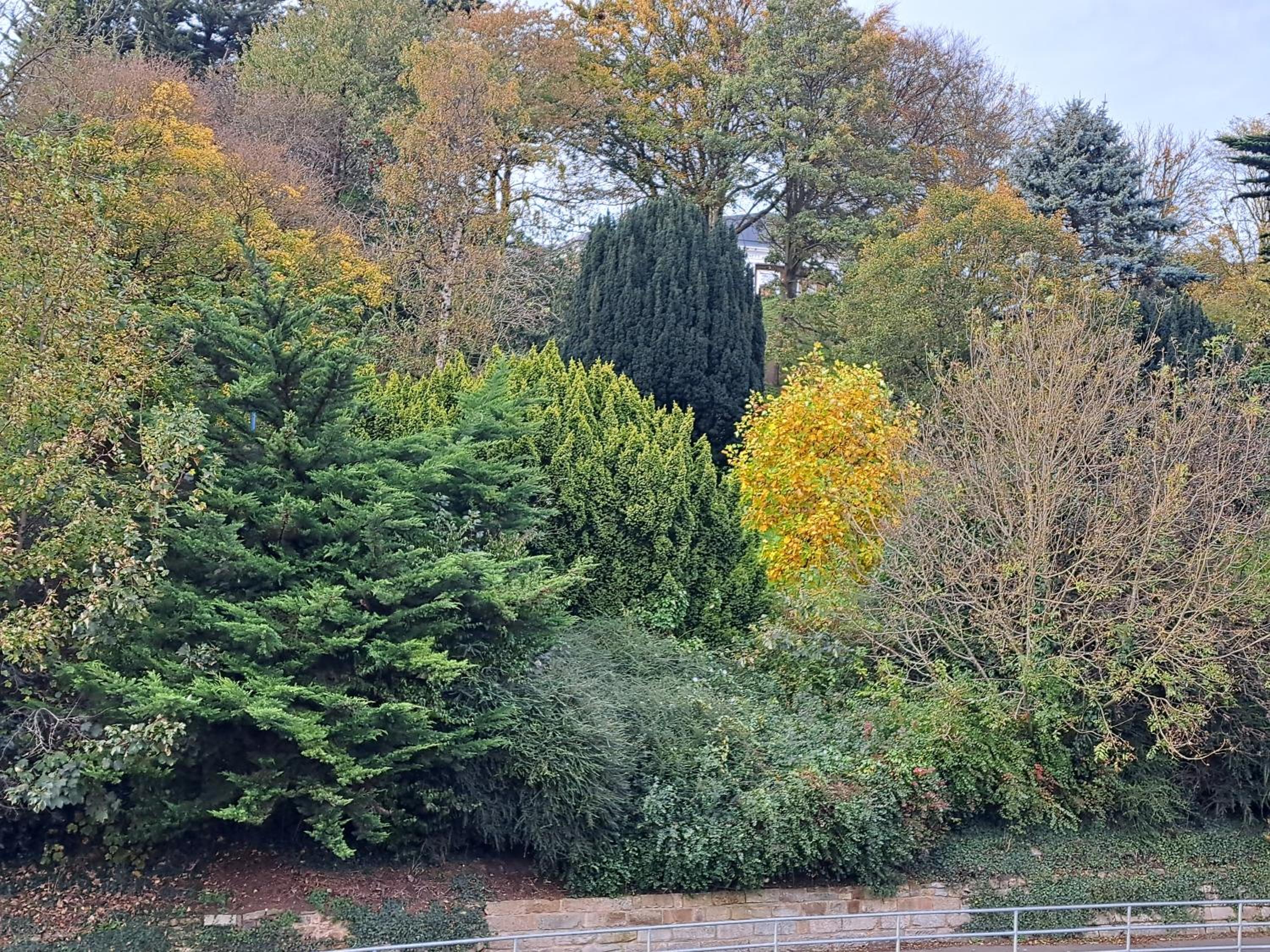 Rylstone Mere