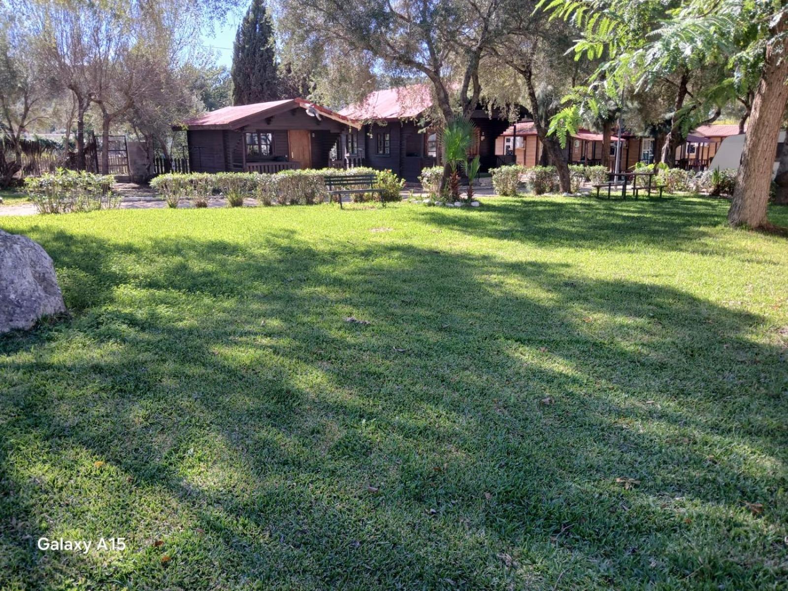Camping los Gazules photo 1
