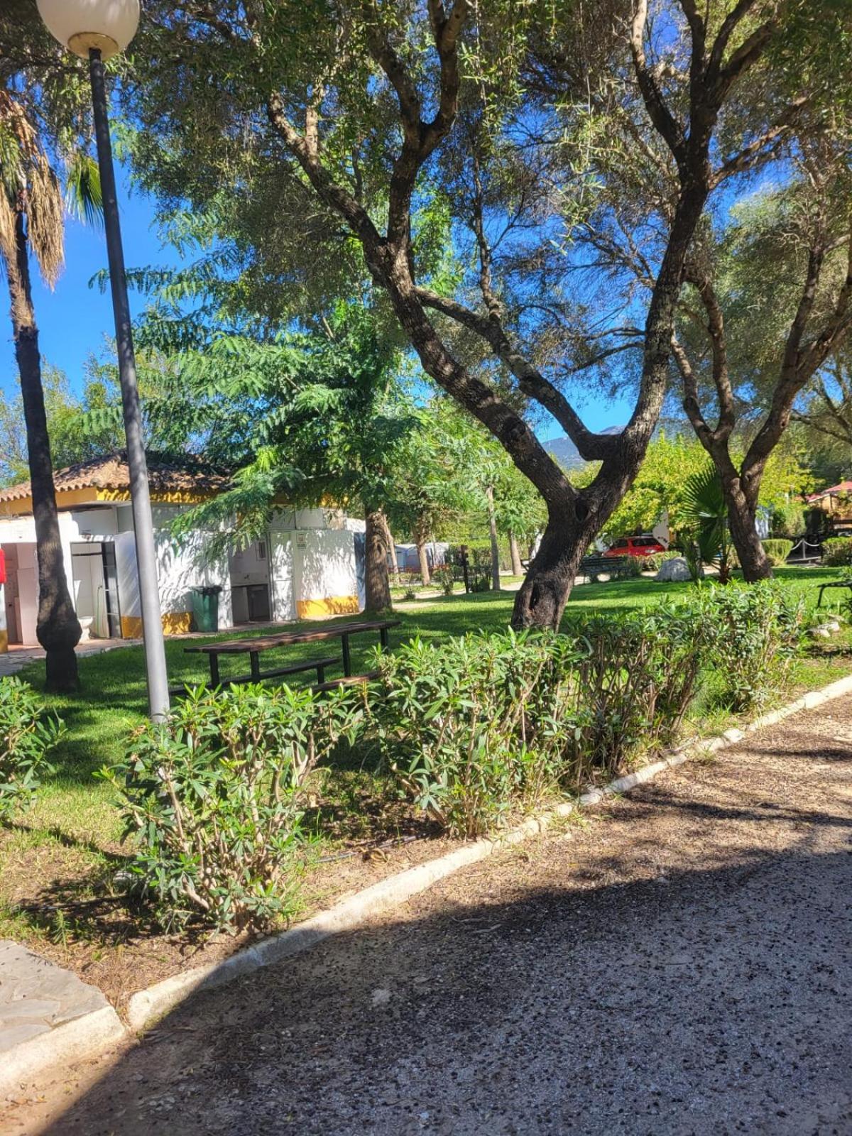 Camping los Gazules photo 3