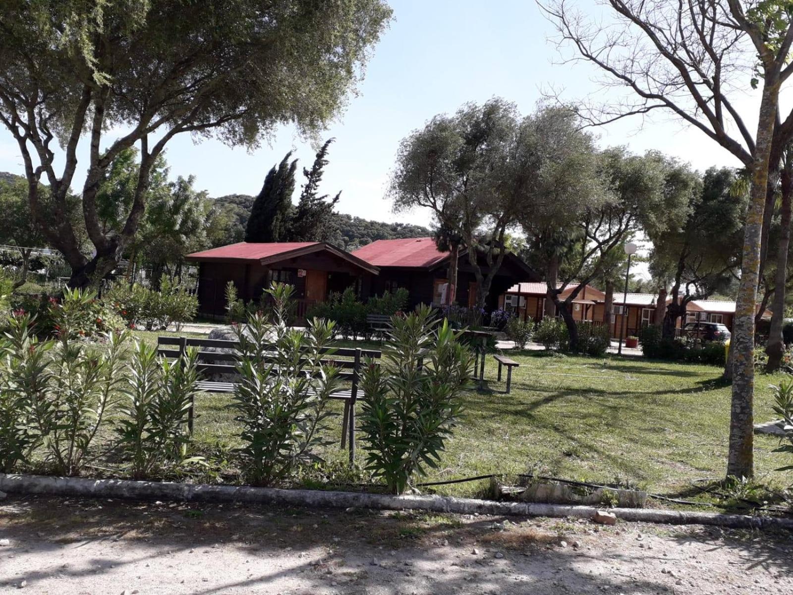 Camping los Gazules photo 4