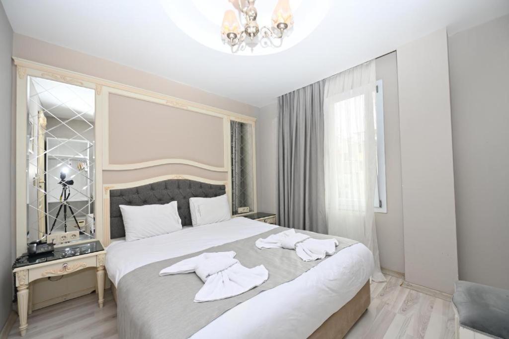 Albatros suite