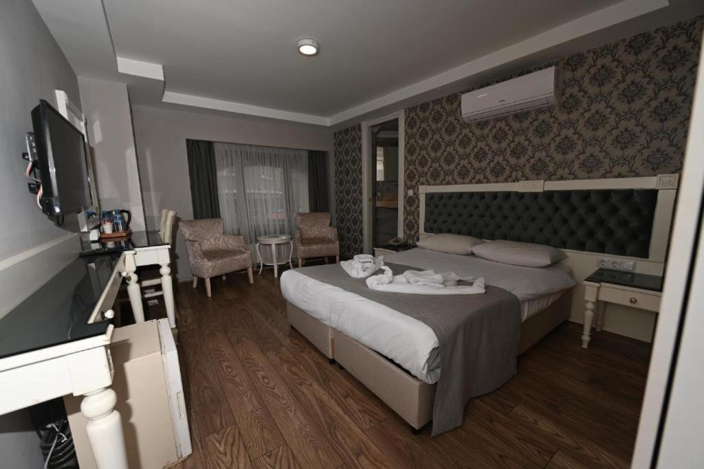 Albatros suite