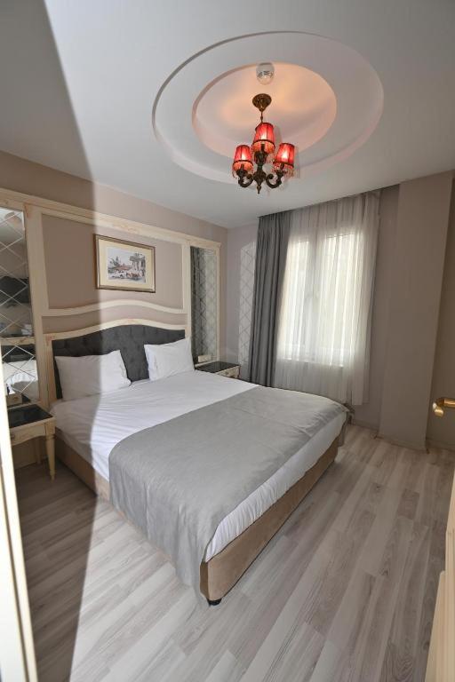 Albatros suite