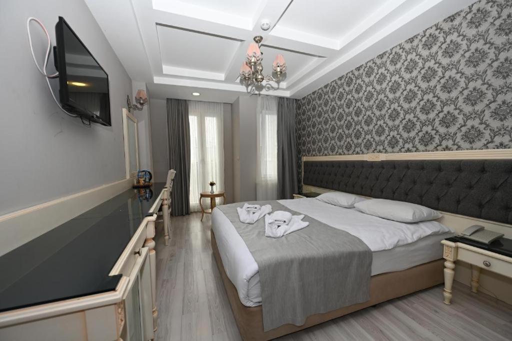 Albatros suite