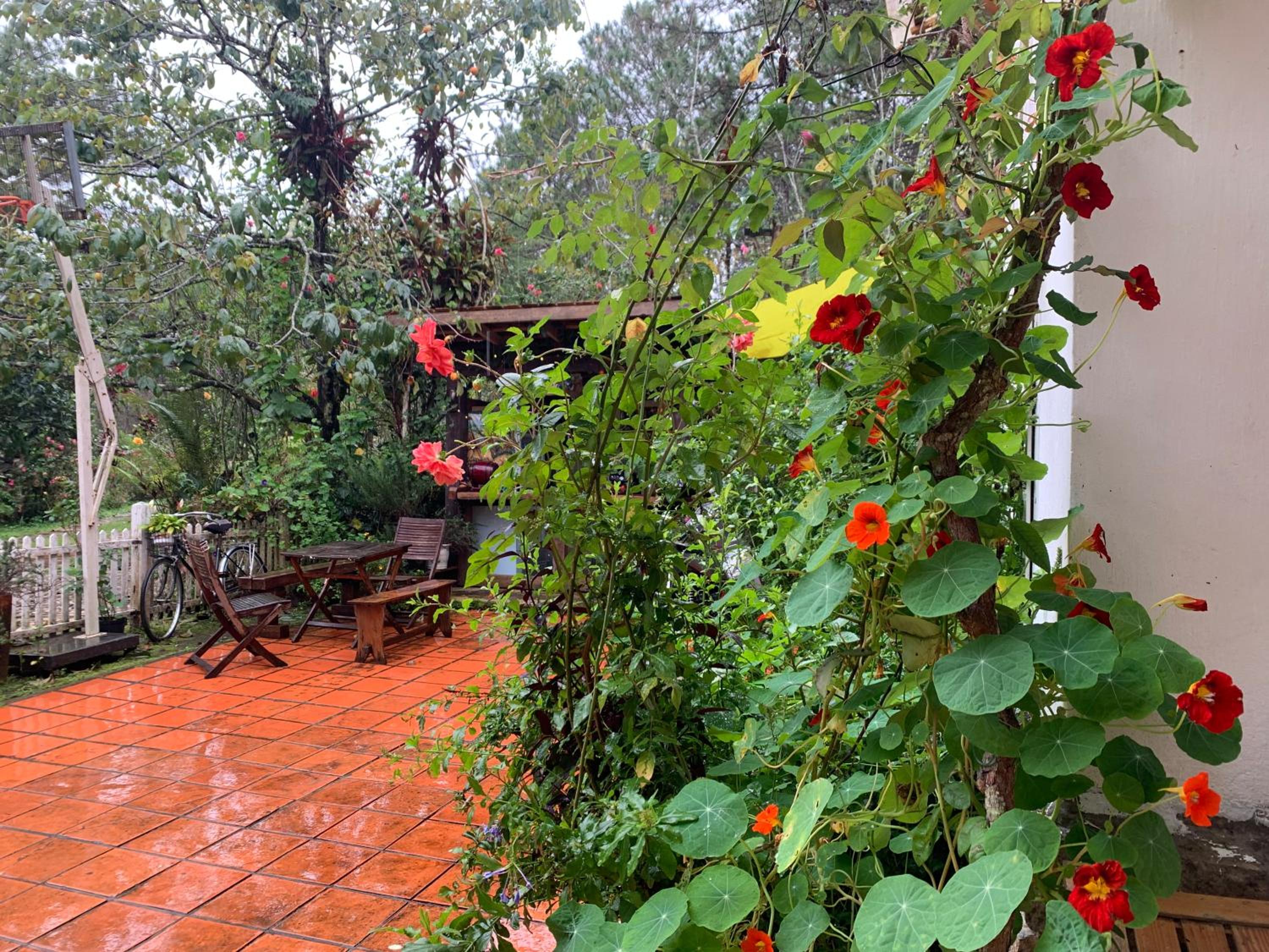Romantic house on Carride hill Dalat view 4
