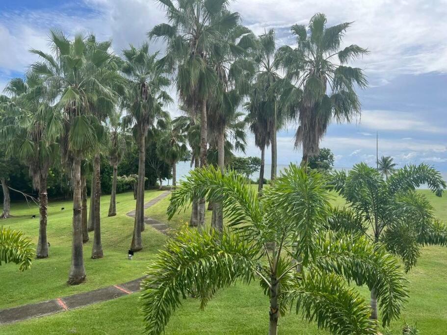 Kaz Mango view 5