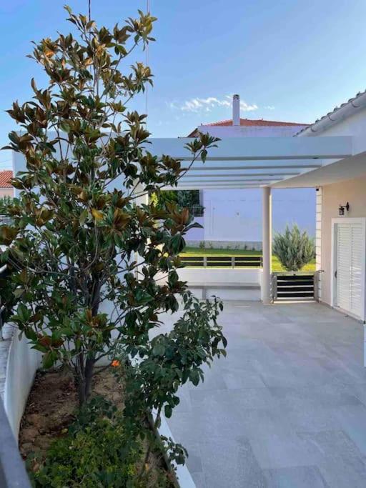 Villa Evanthia