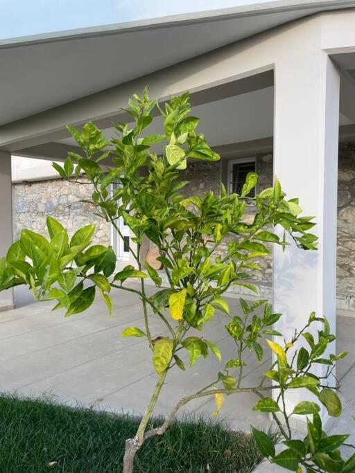 Villa Evanthia
