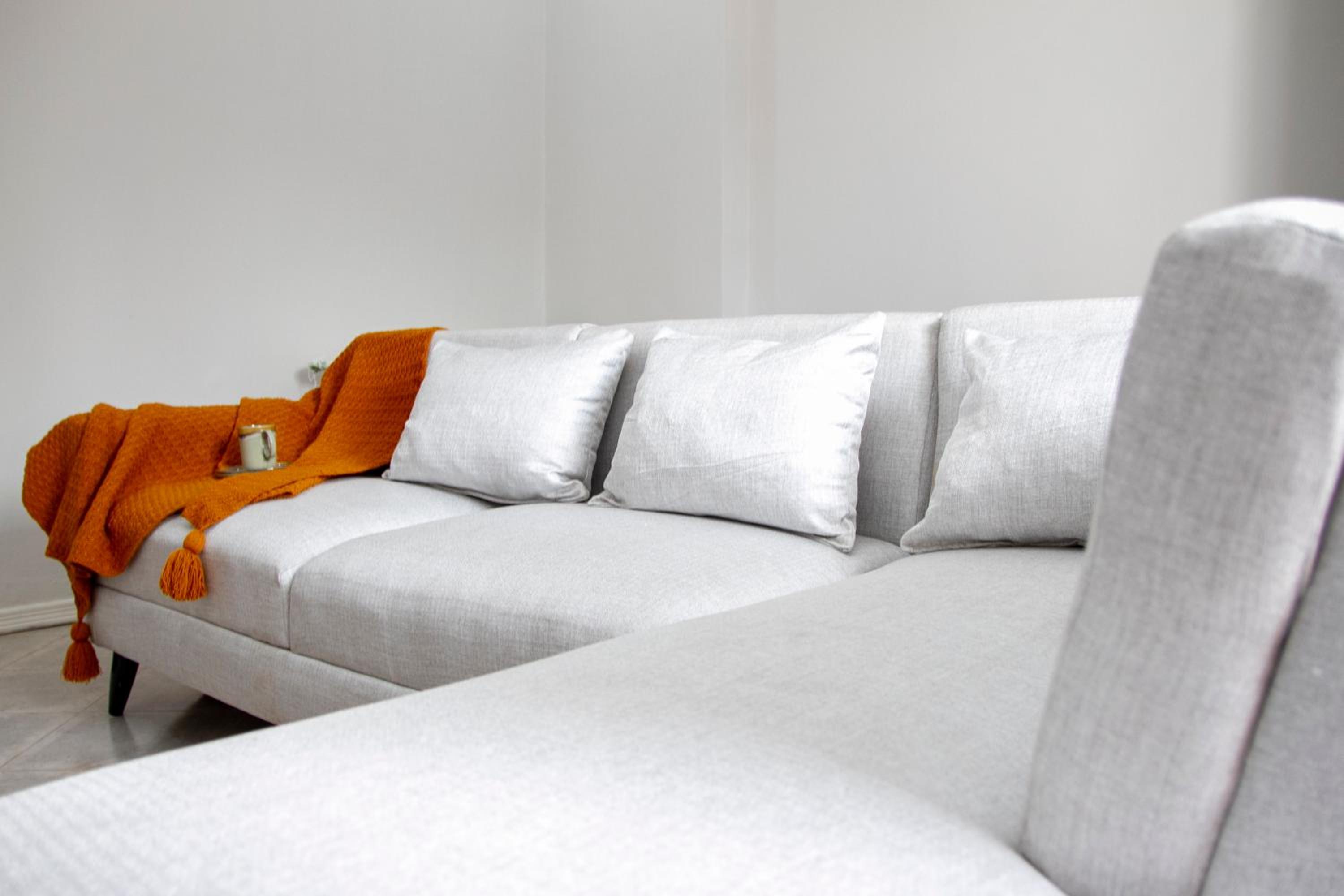 Lavish Apartment
