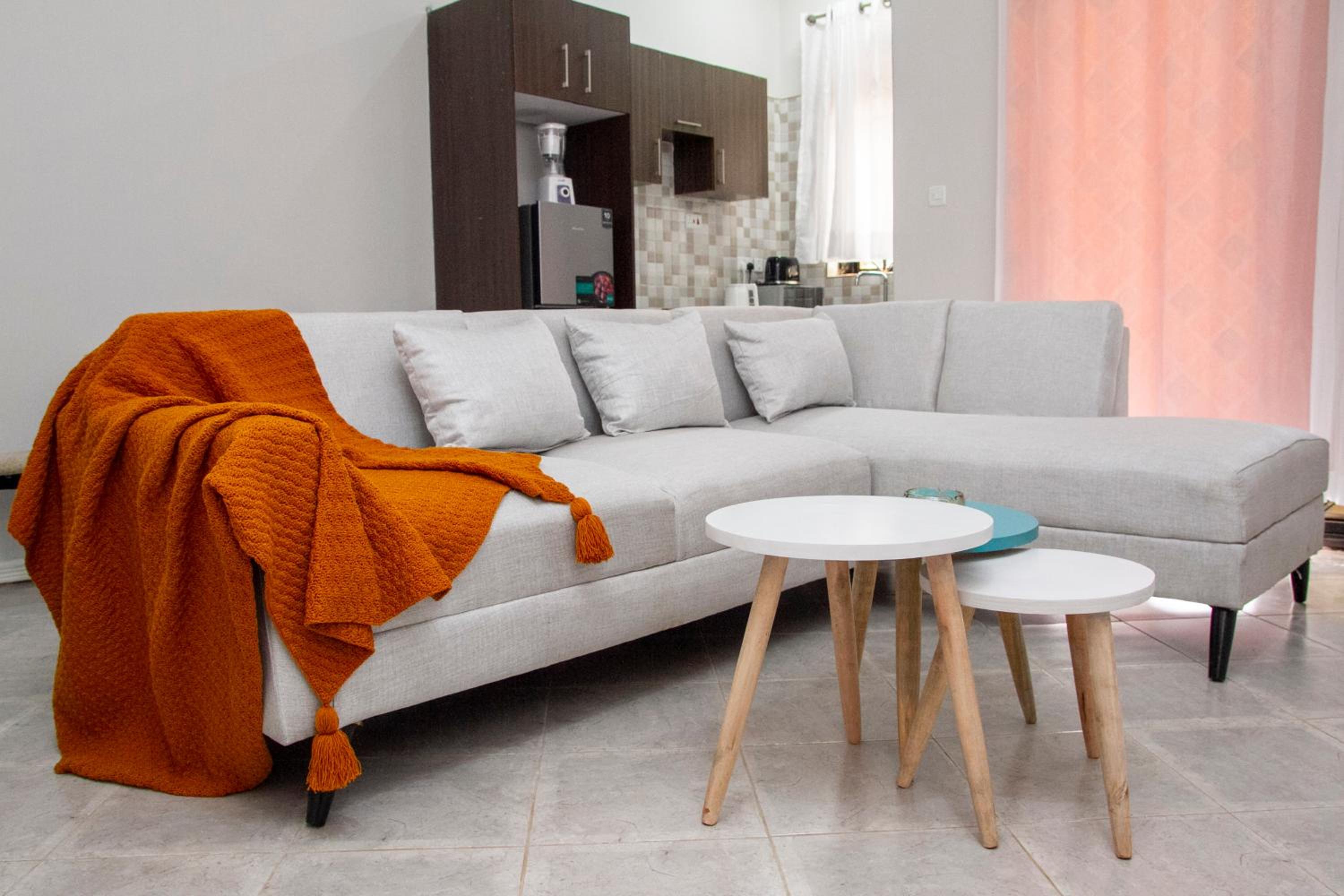 Lavish Apartment
