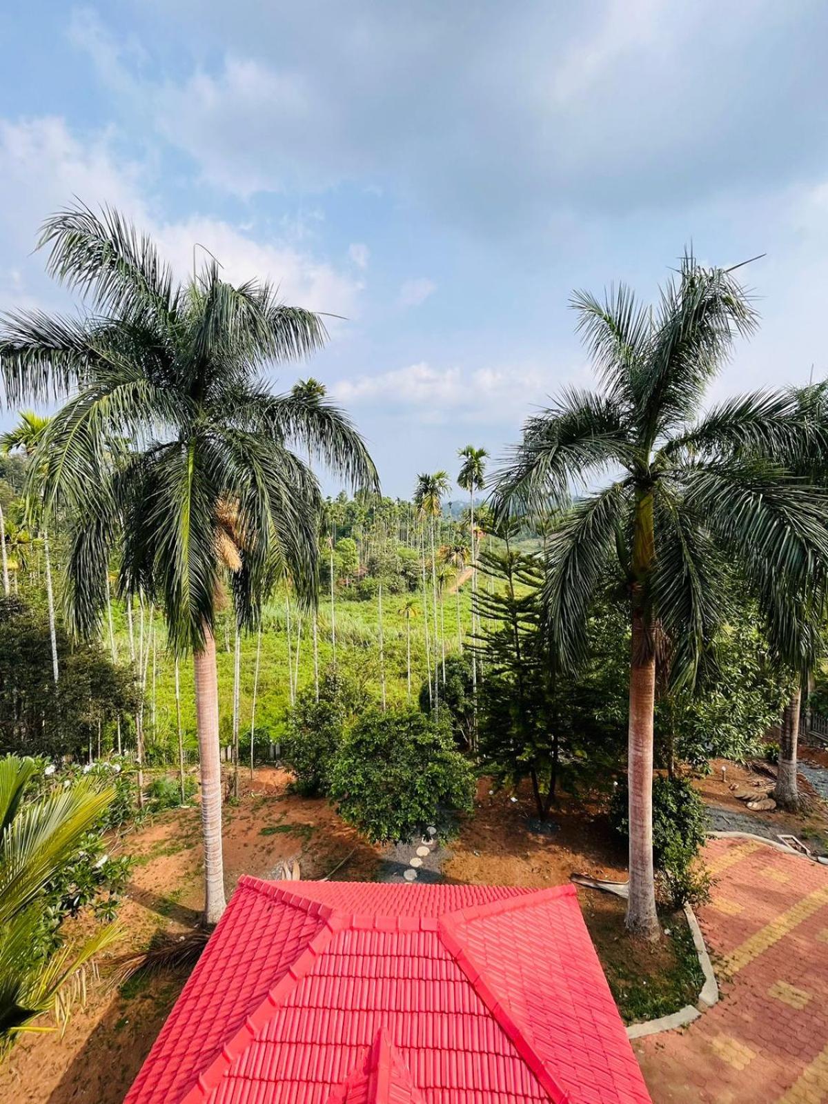 New Cielo Inn