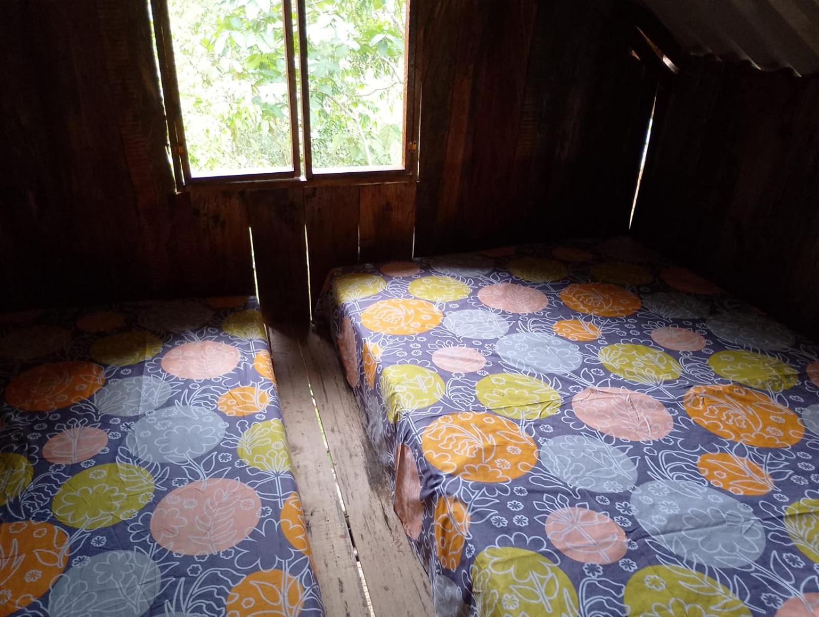 Glamping el Bosque San Luis