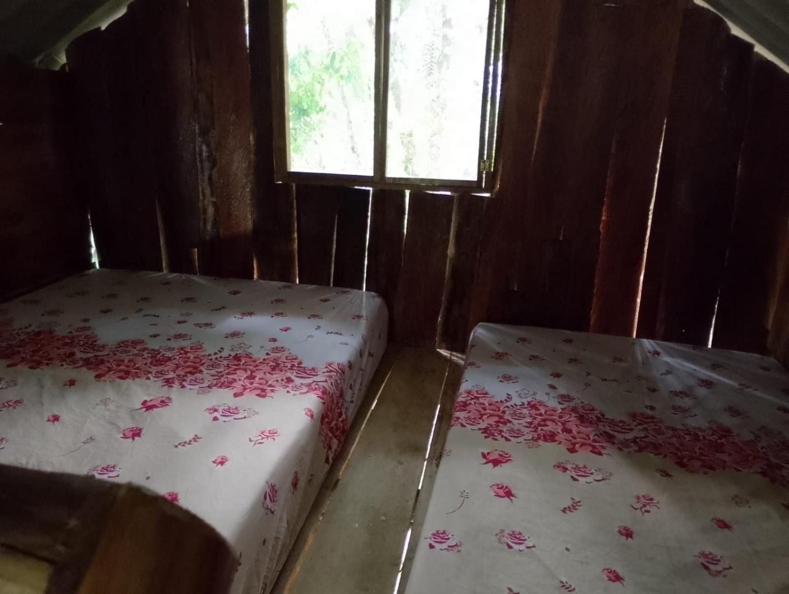 Glamping el Bosque San Luis