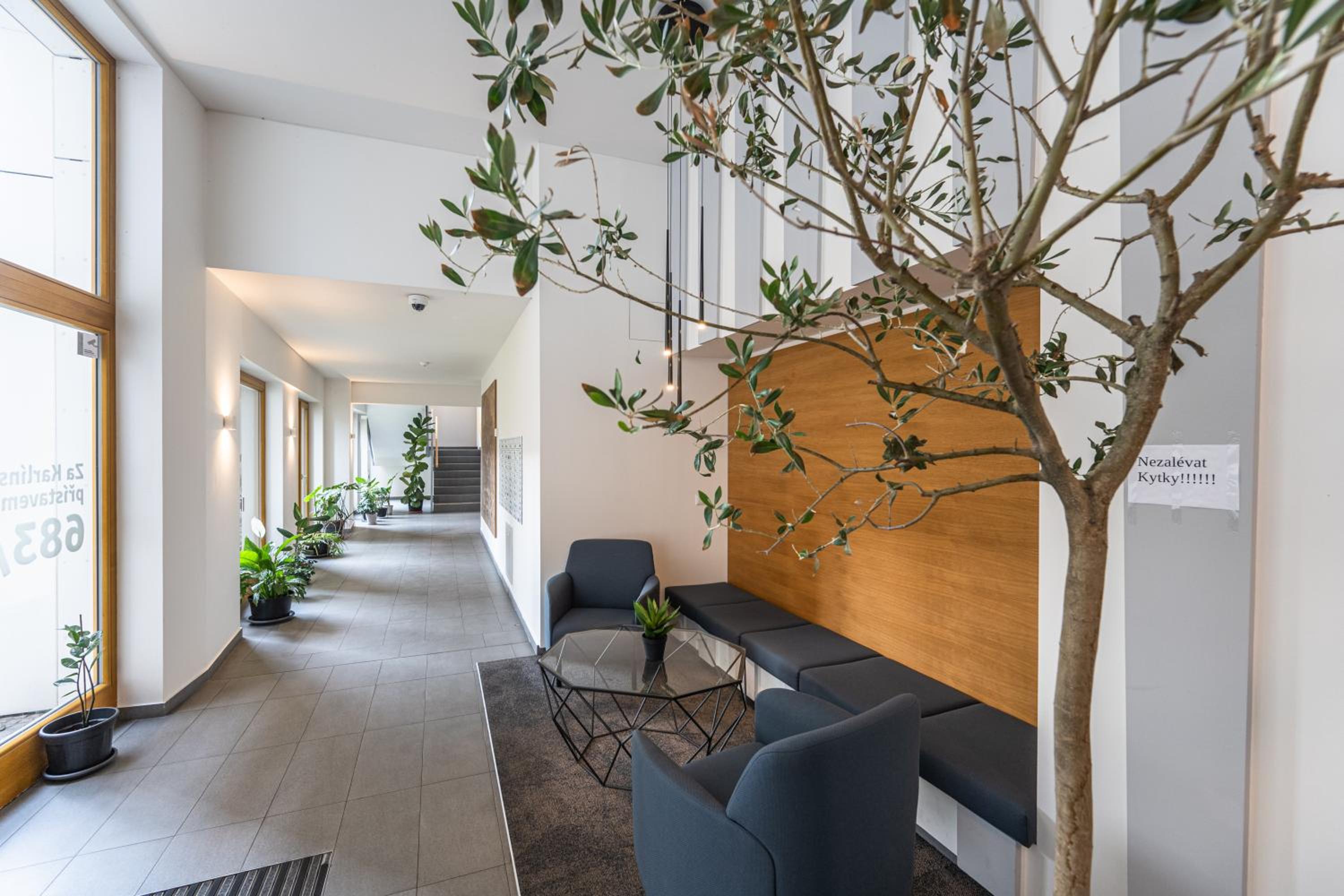 recepcion & lobby