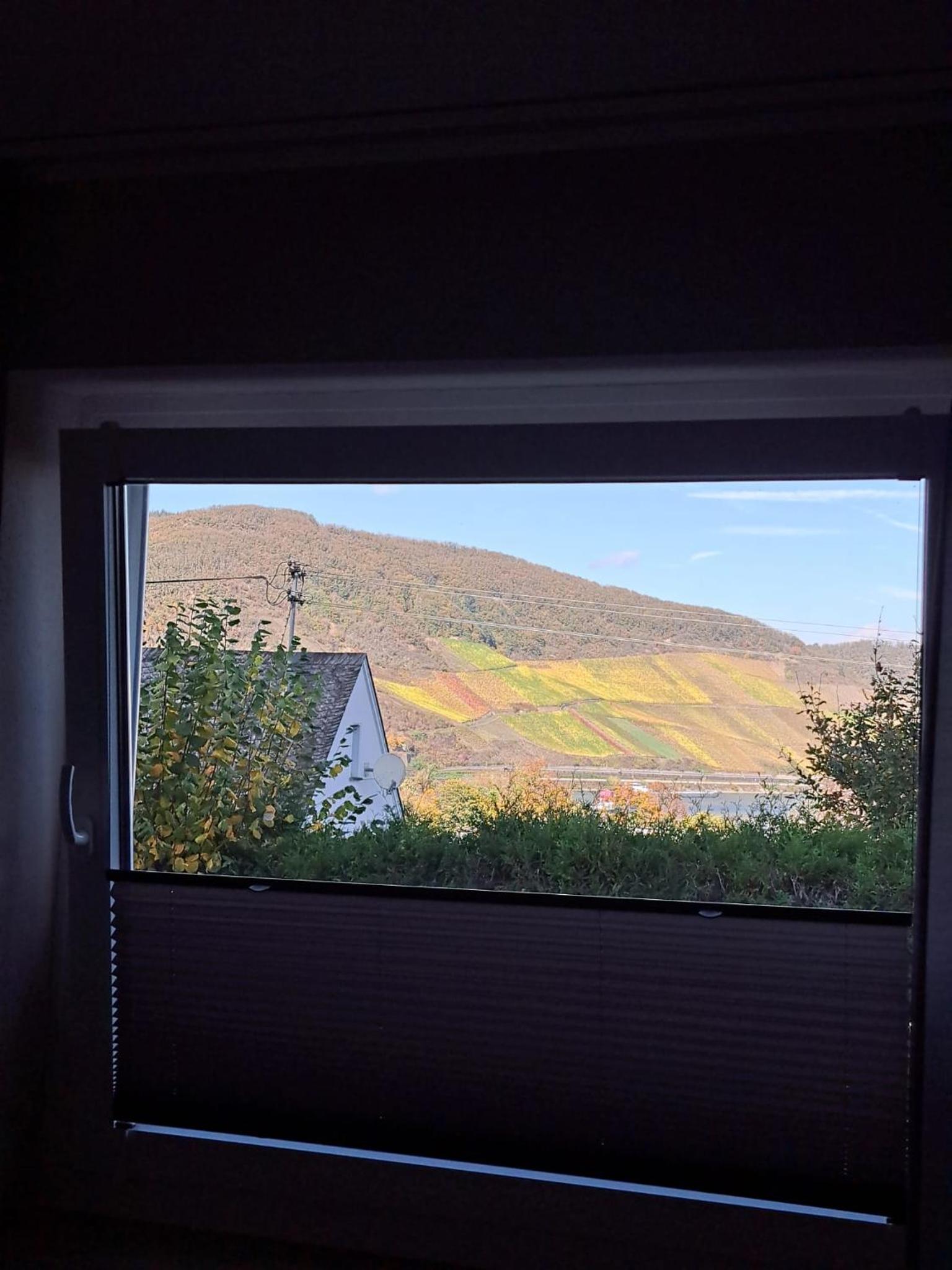 Ferienwohnung Wandereck