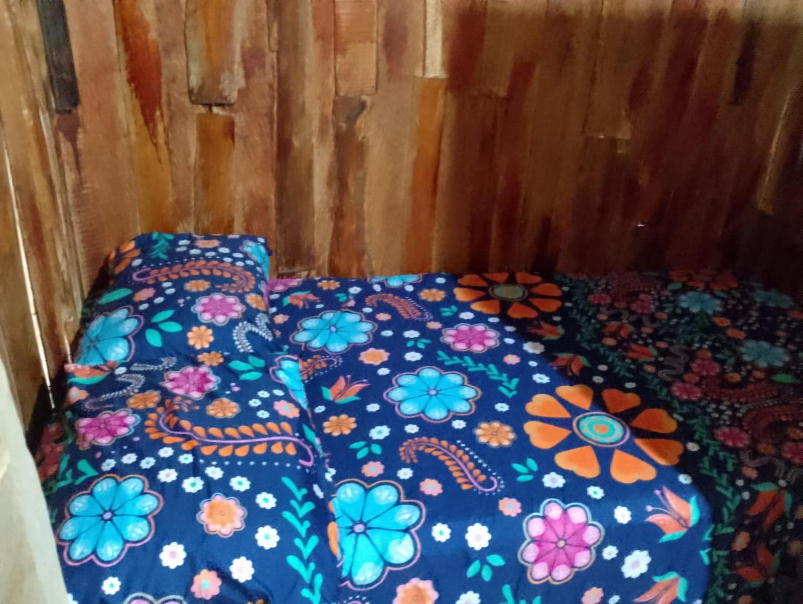 Glamping el Bosque San Luis