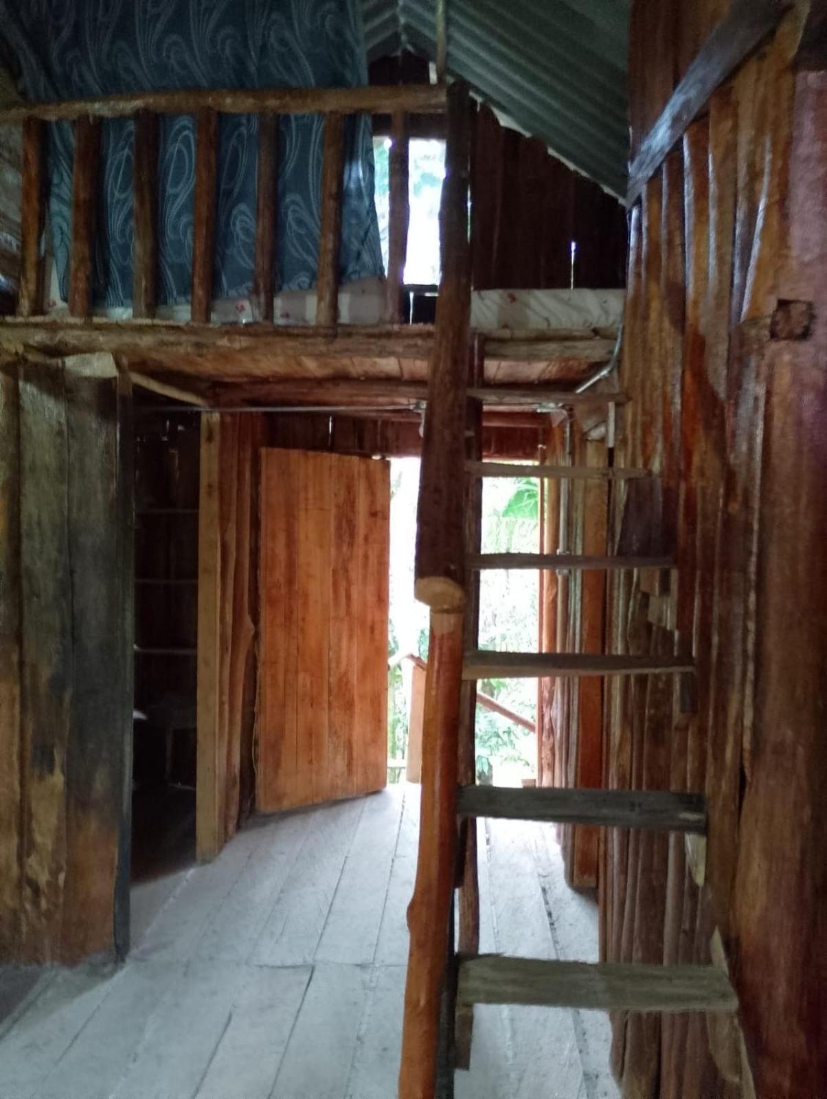 Glamping el Bosque San Luis