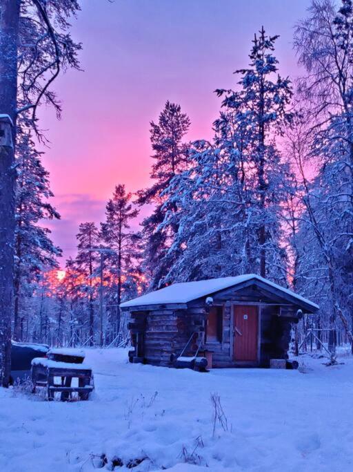 Aurora Cabin