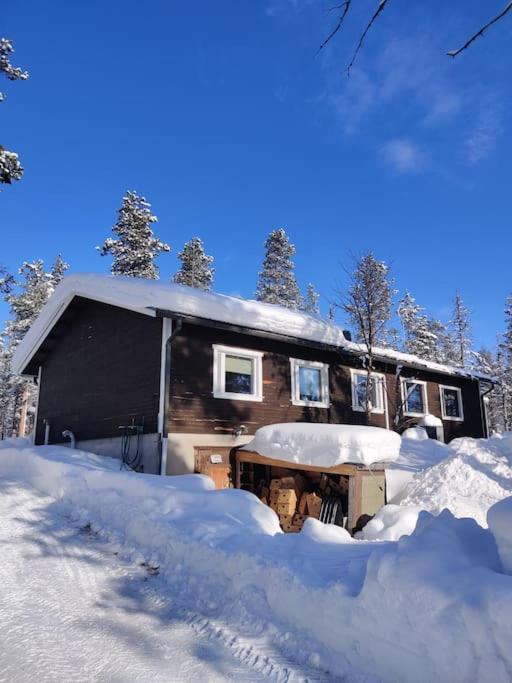 Aurora Cabin