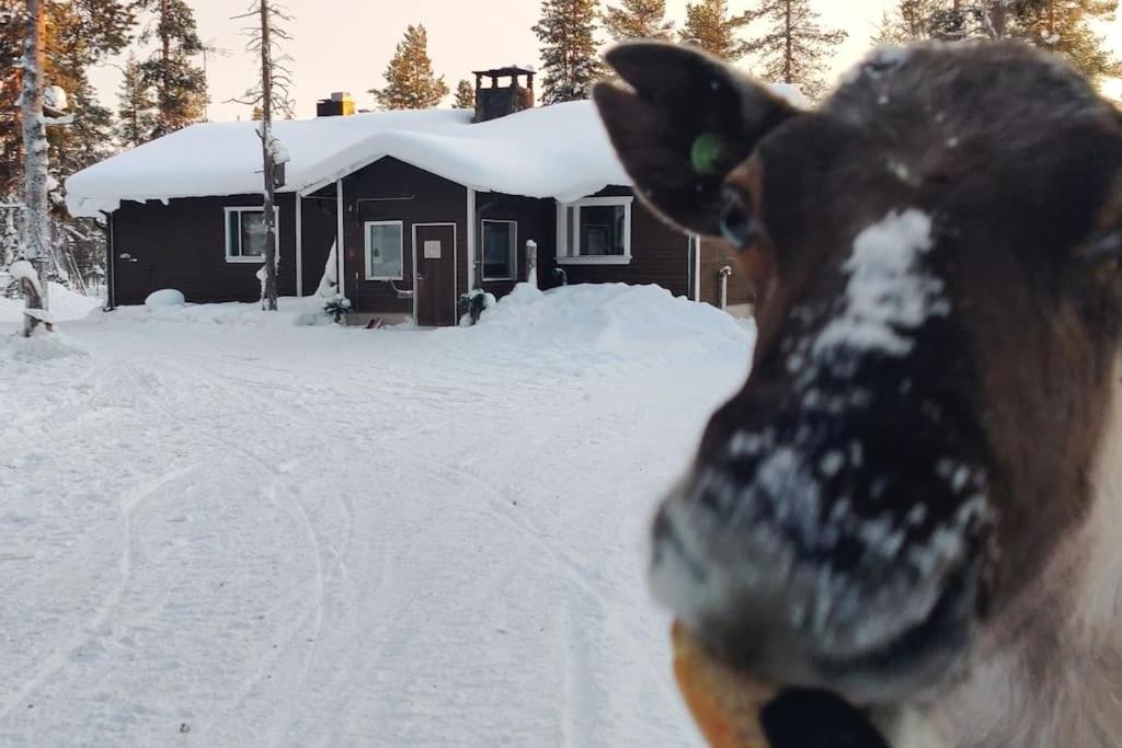 Aurora Cabin