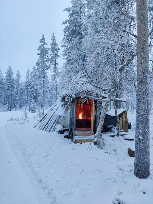 Aurora Cabin