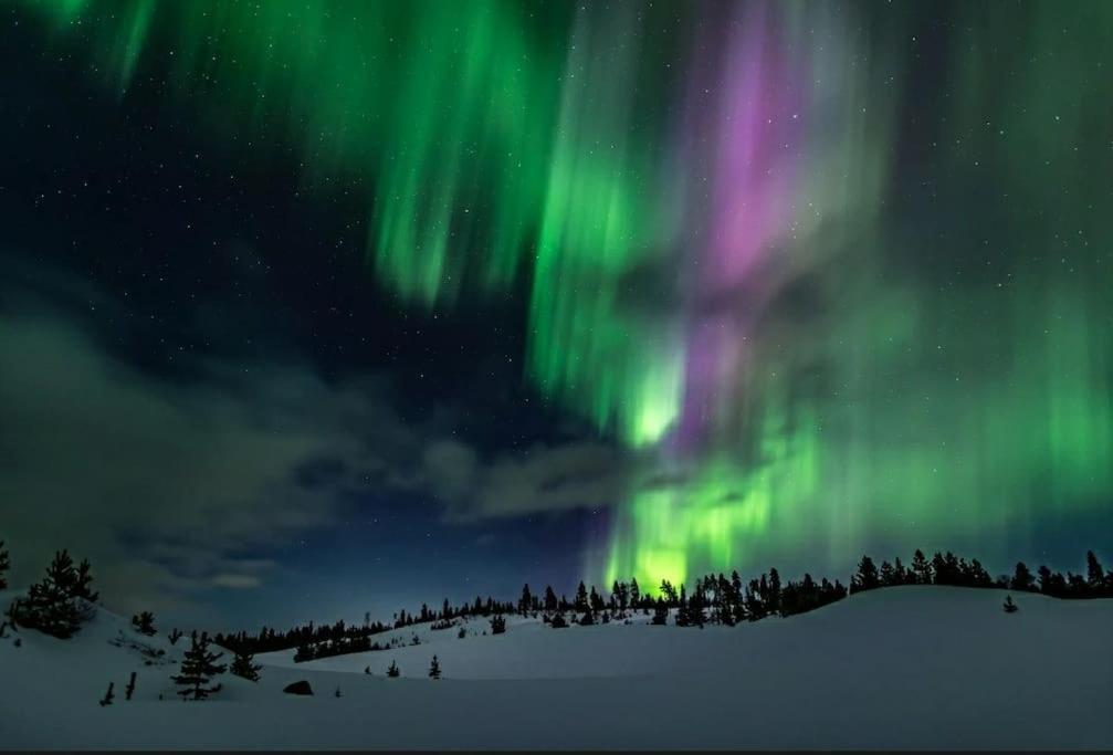 Aurora Cabin