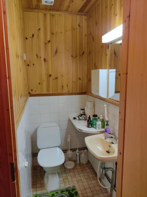 Aurora Cabin