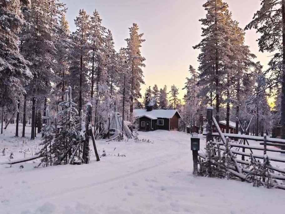 Aurora Cabin