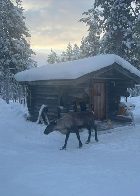 Aurora Cabin