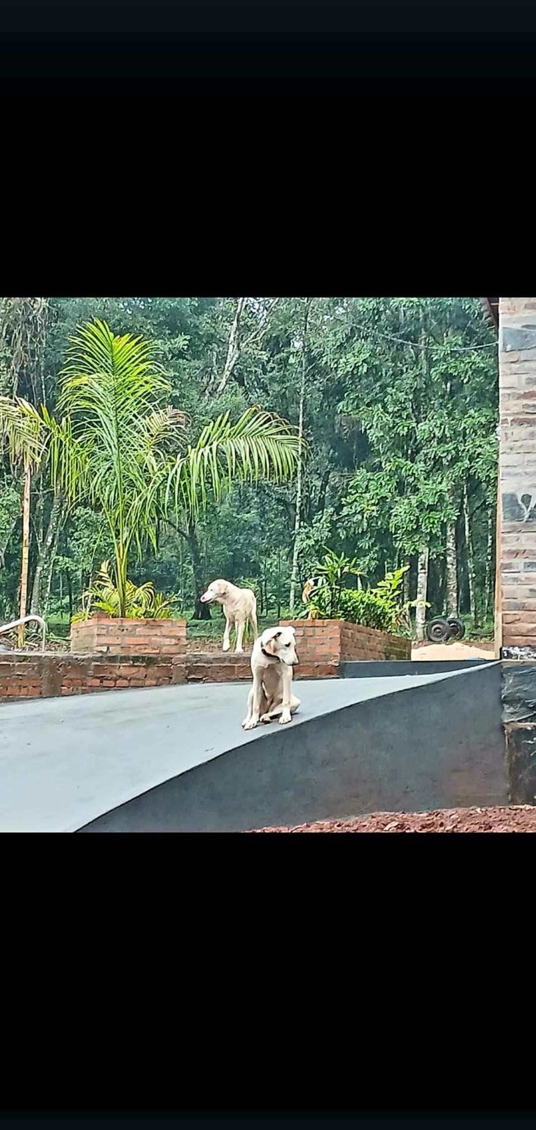 La Escondida