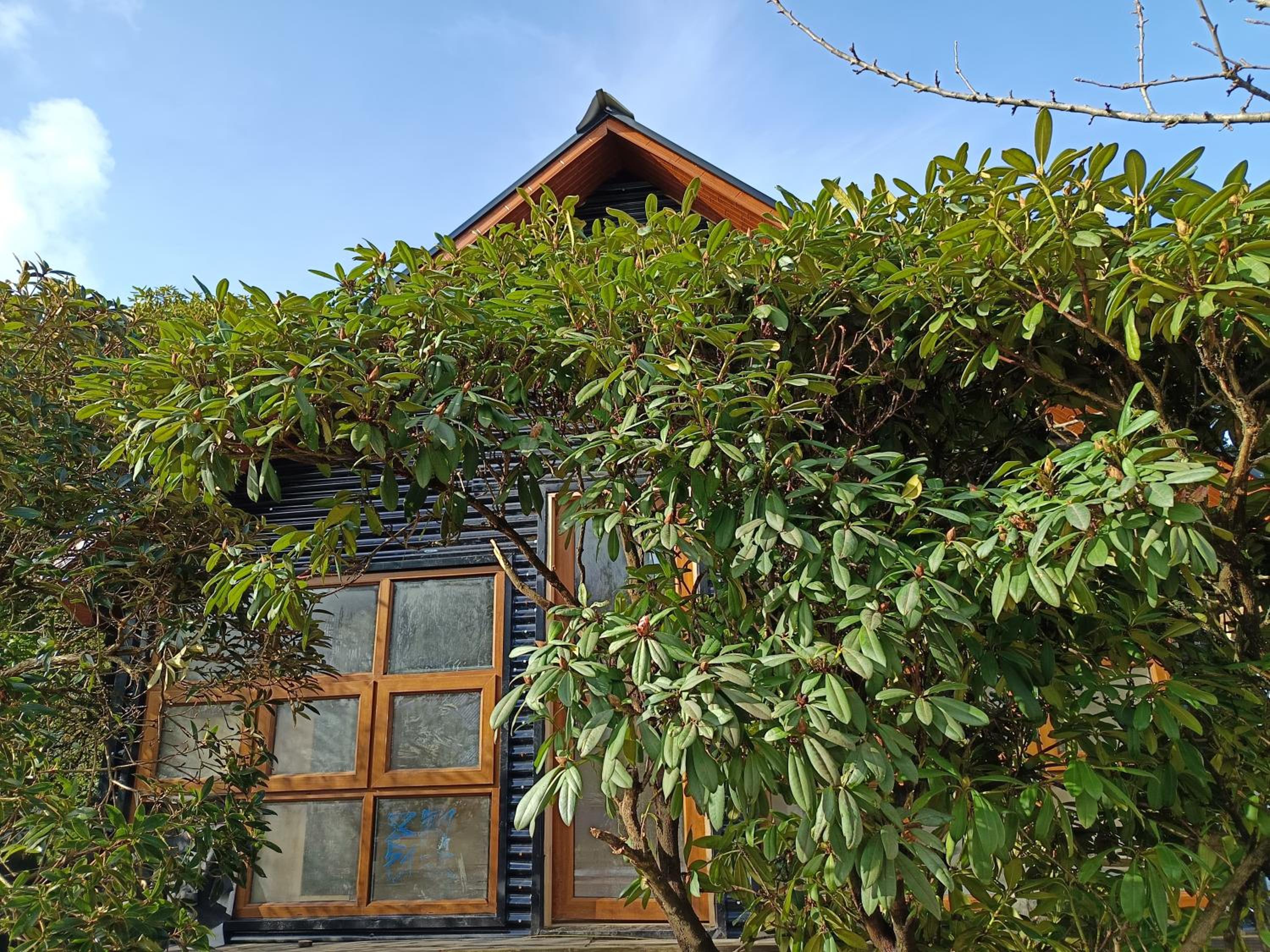 Cabaña de los duendes