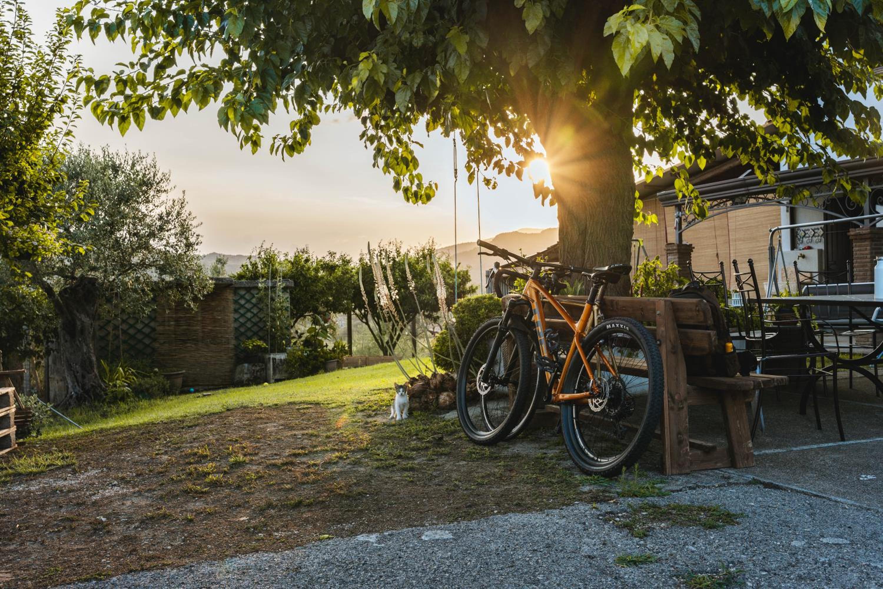 Sentiero Degli Ulivi Mascia view 4