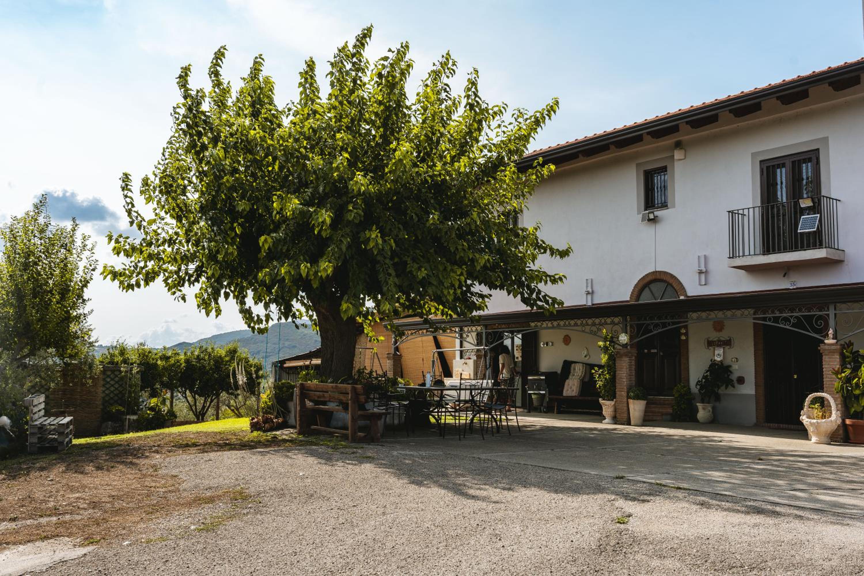 Sentiero Degli Ulivi Mascia view 5