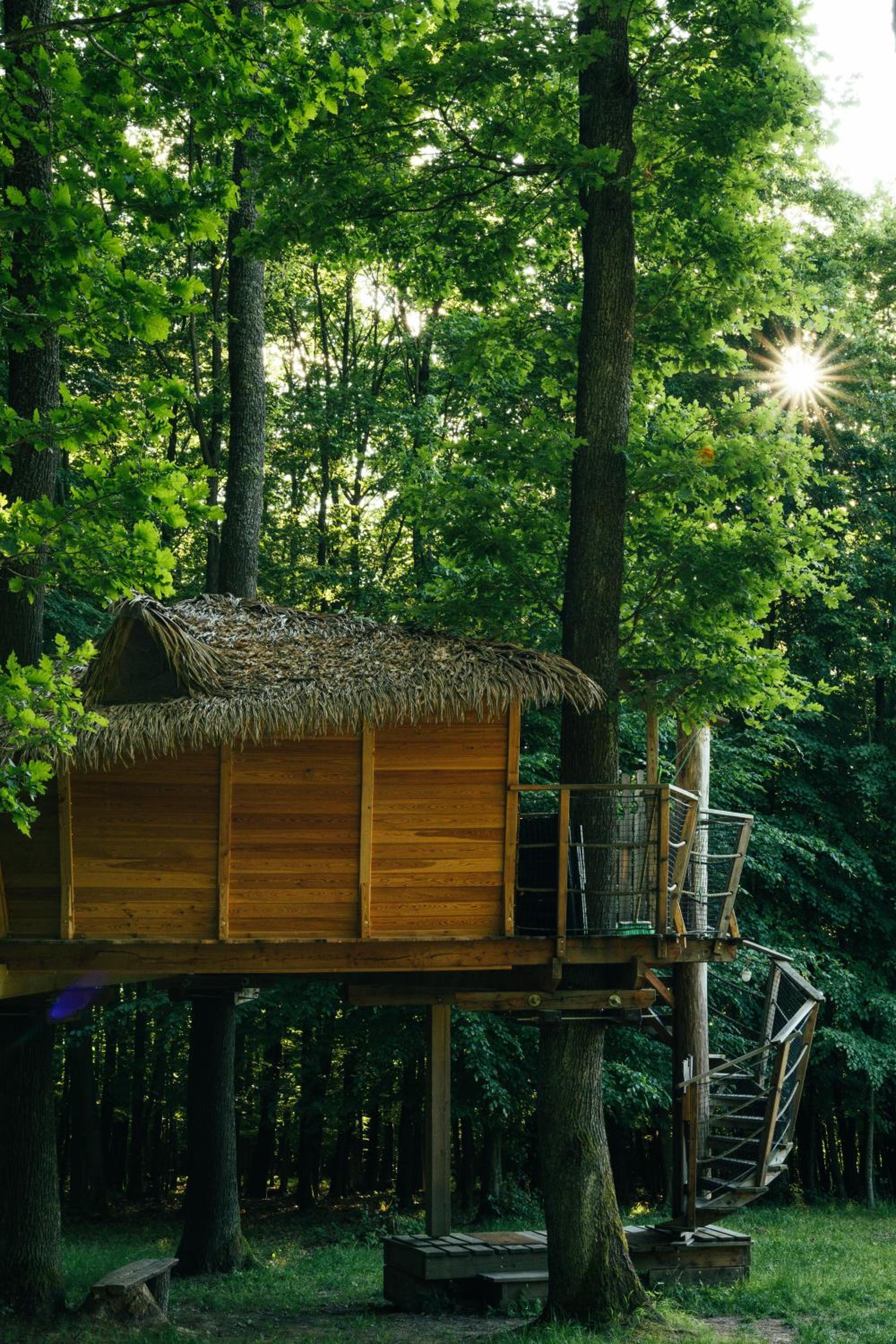 Treehouse Bojnice