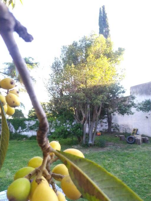 casa quinta con pileta