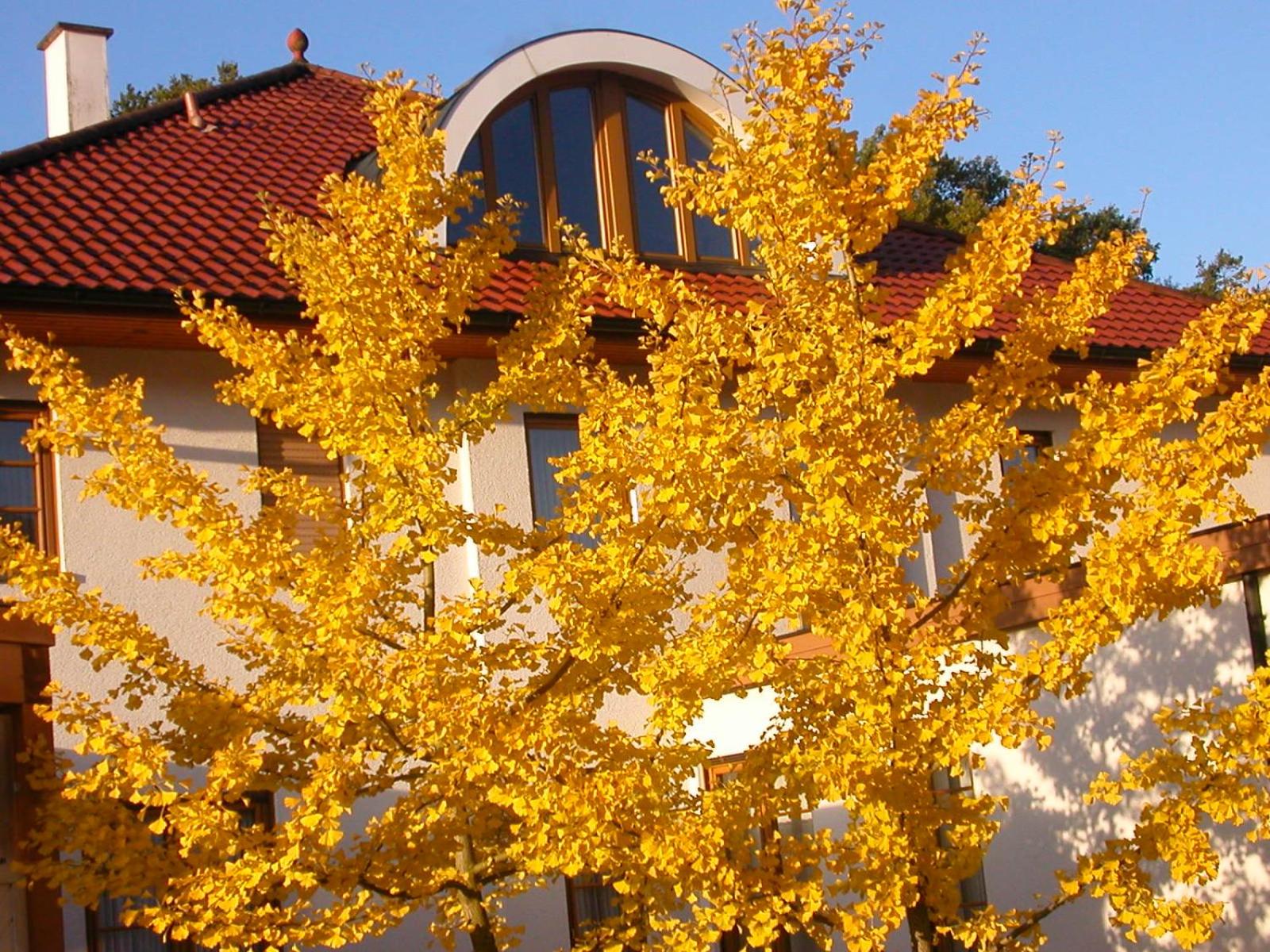 Ruhige, charmante Ferienwohnung 