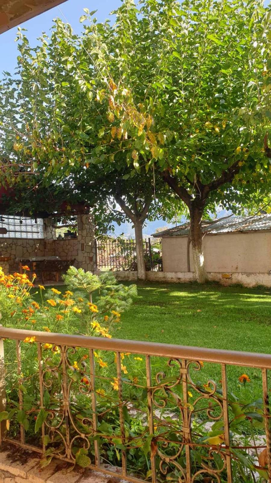 Morus Guesthouse