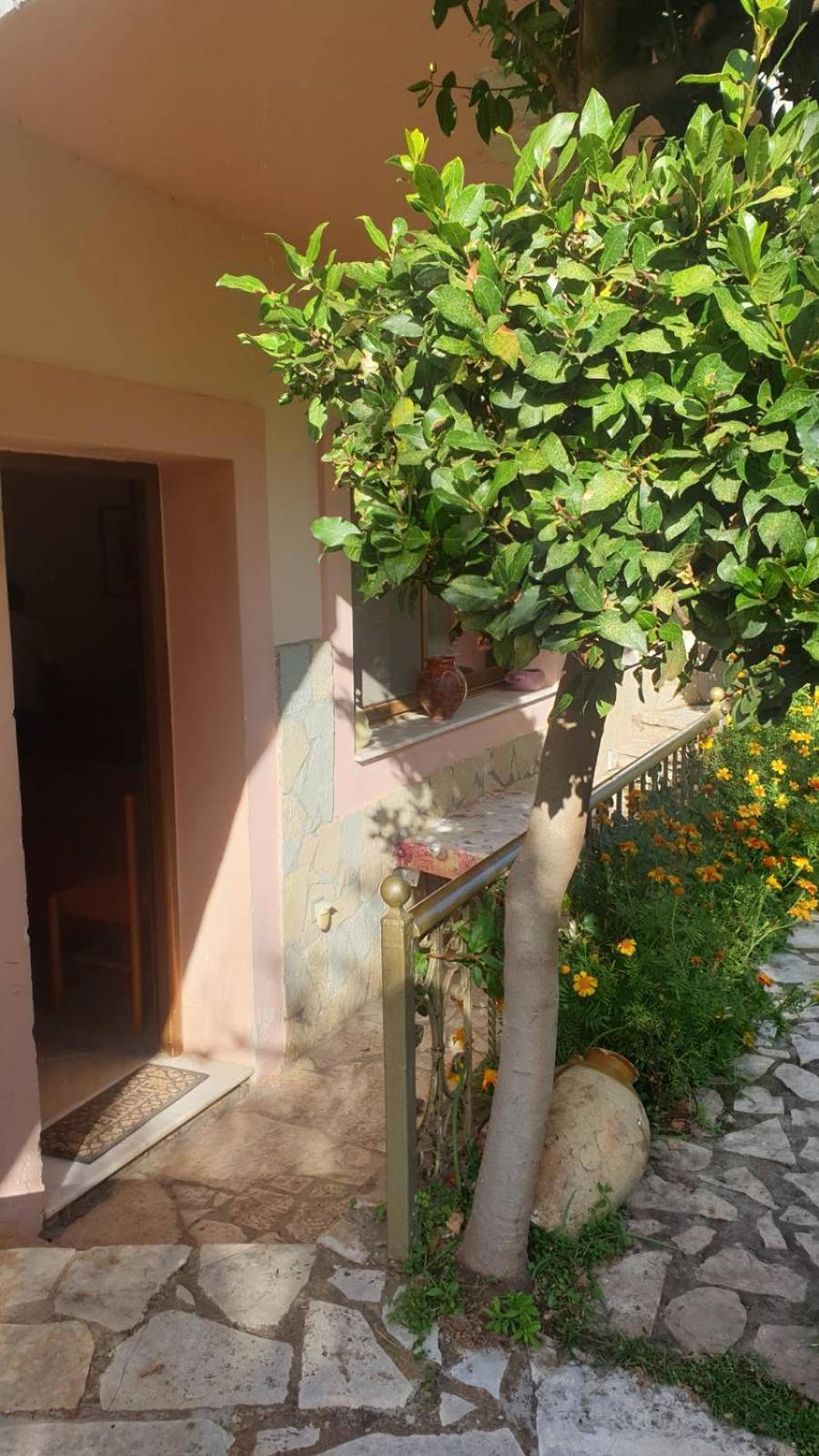 Morus Guesthouse