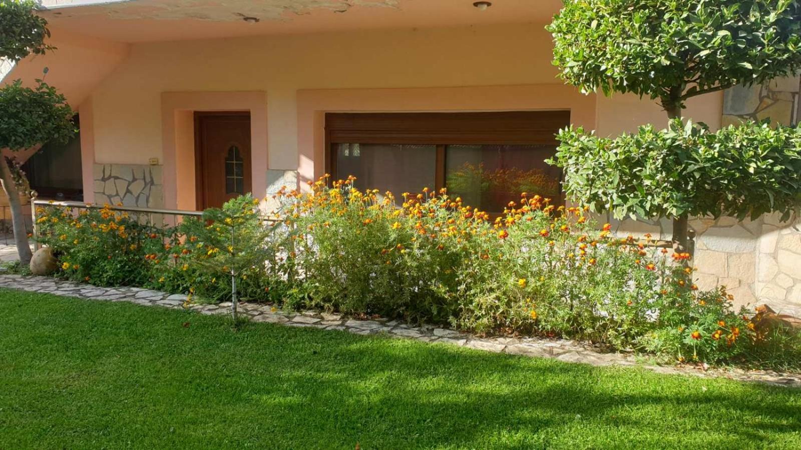 Morus Guesthouse