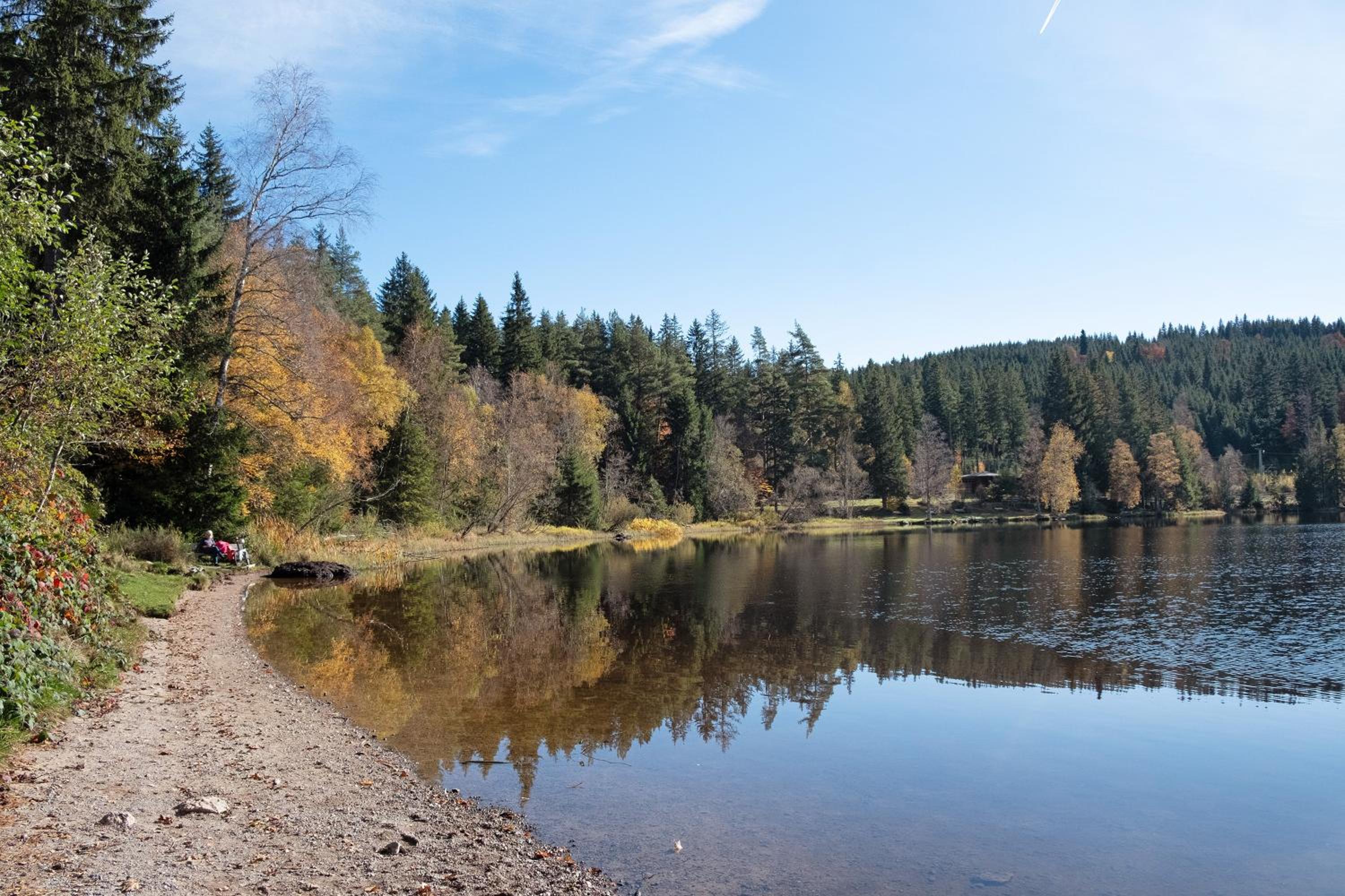 Schwarzwaldchalet Holzperle