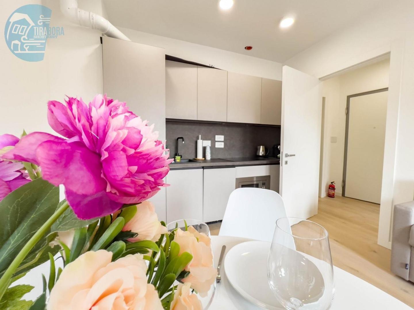 Marco Polo 26 Tirabora Short Rent photo 5