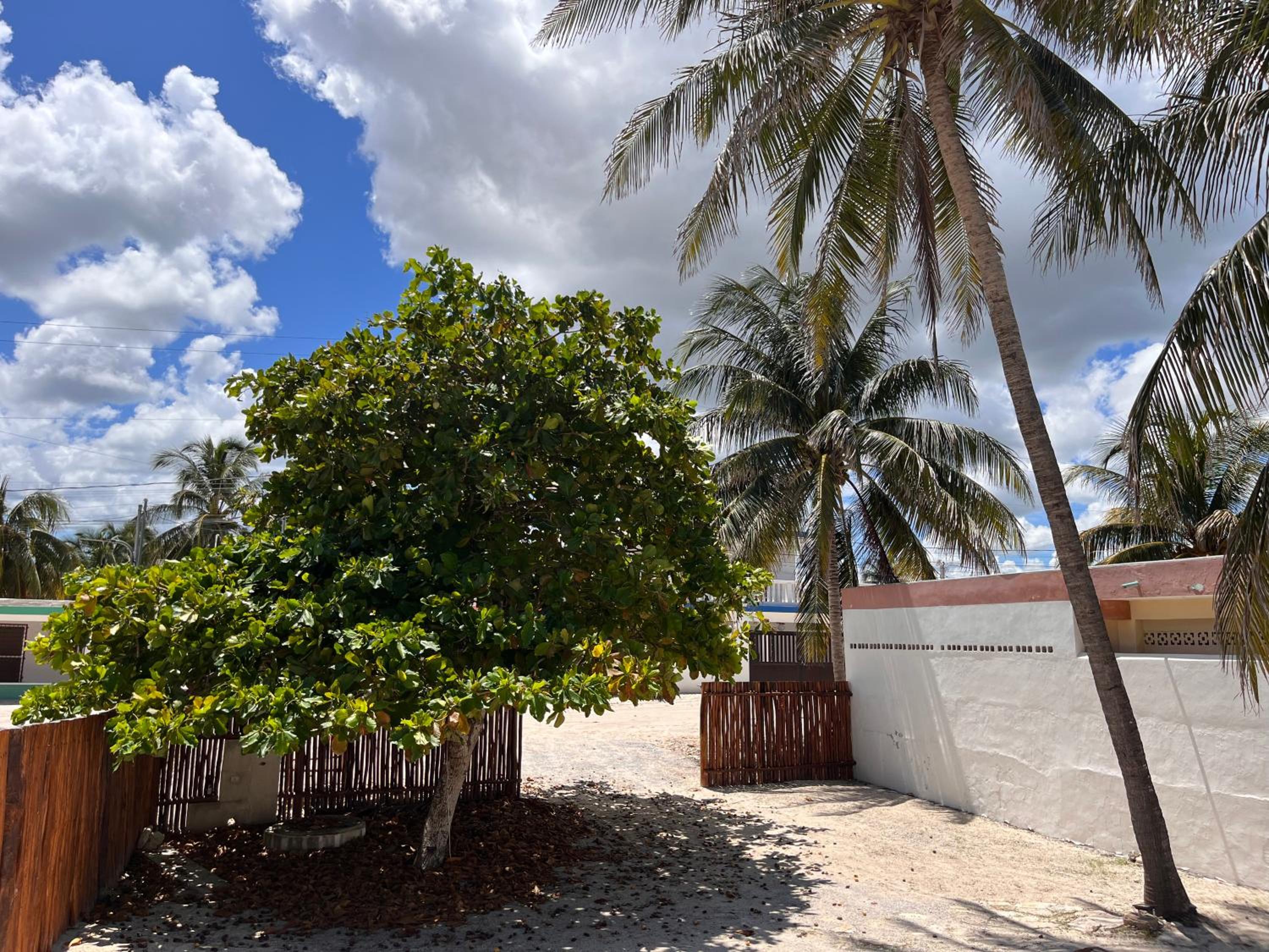 Casa frente al mar, 6 Personas, Terraza y Bar con acceso al mar view 4