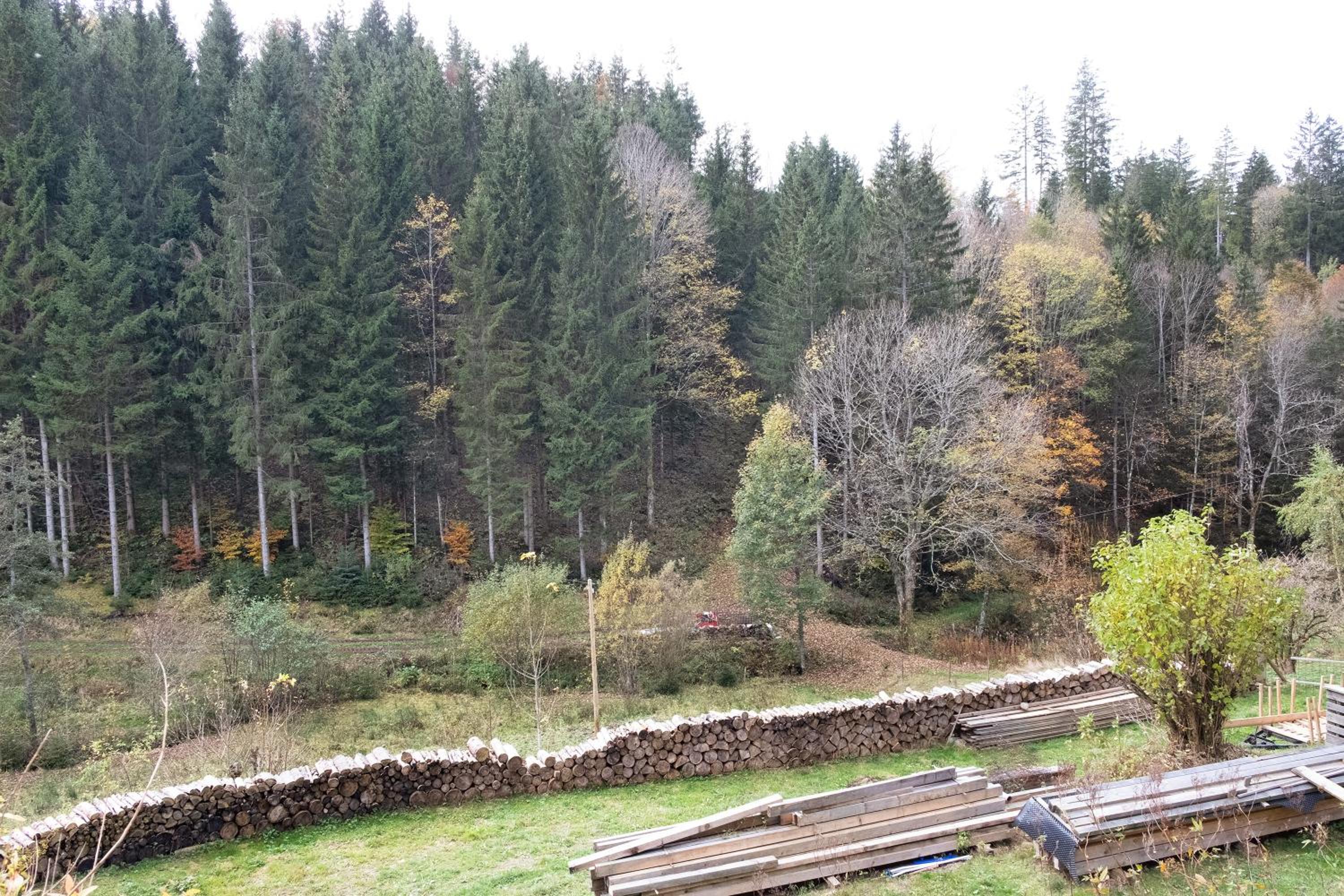 Atelier-Loft im Hübschental