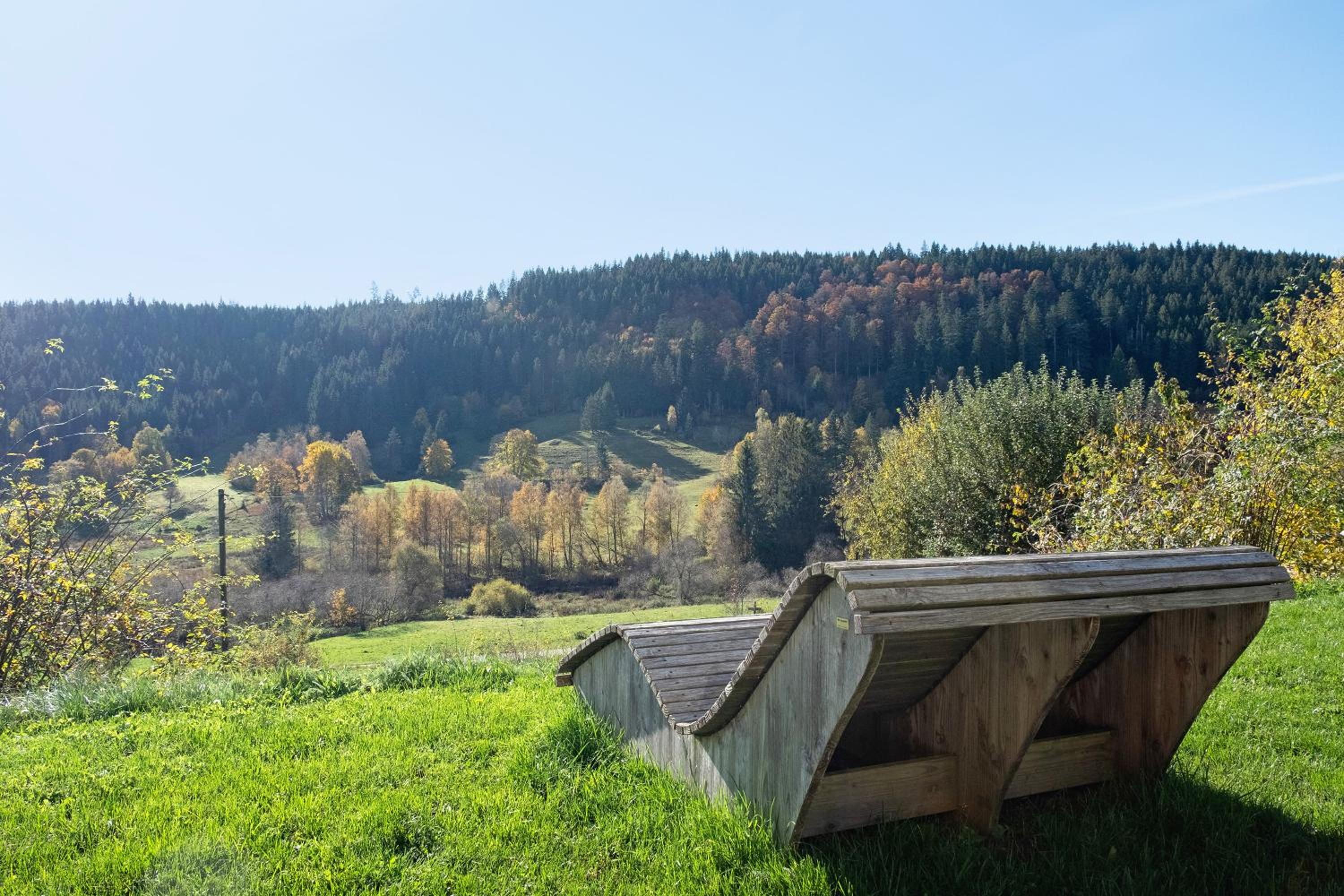 Schwarzwaldchalet Holzperle
