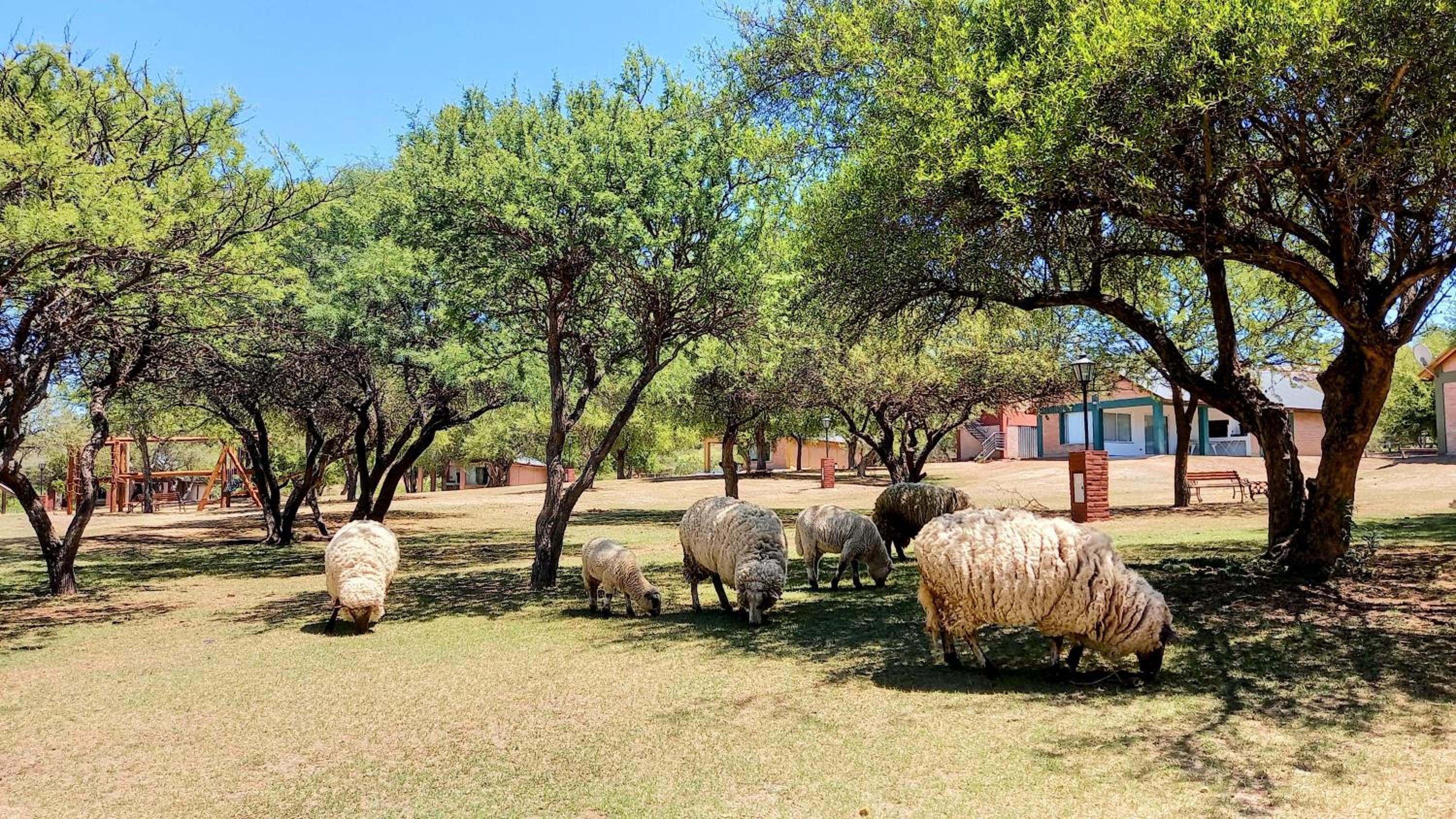Cabañas El Principio