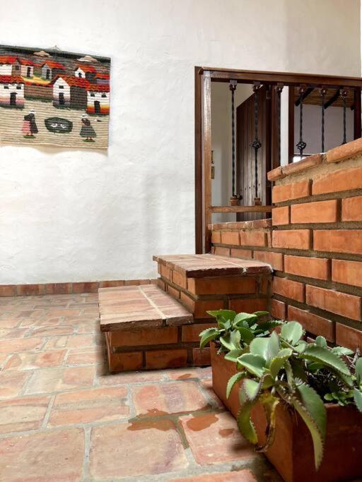 Casa Raiz