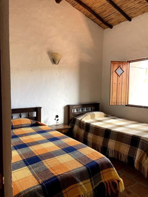 Casa Raiz