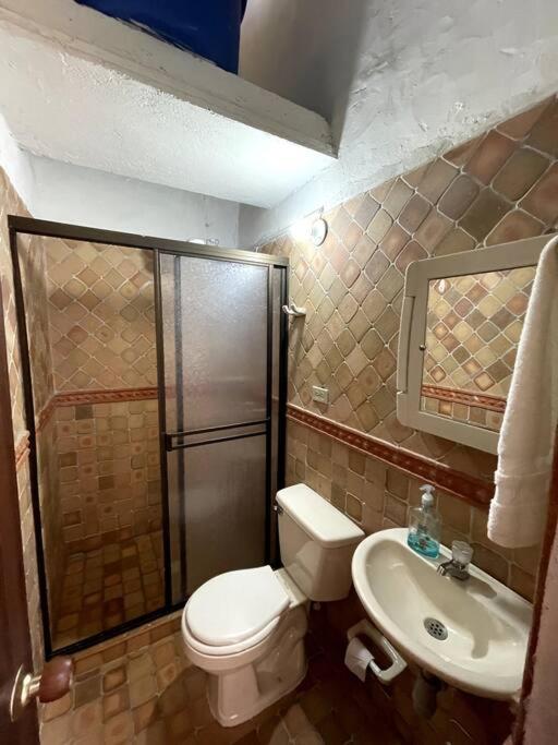 Casa Raiz