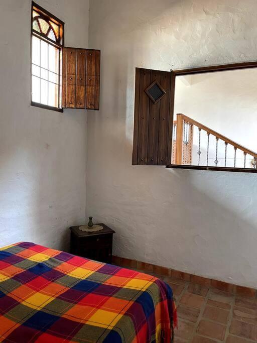 Casa Raiz